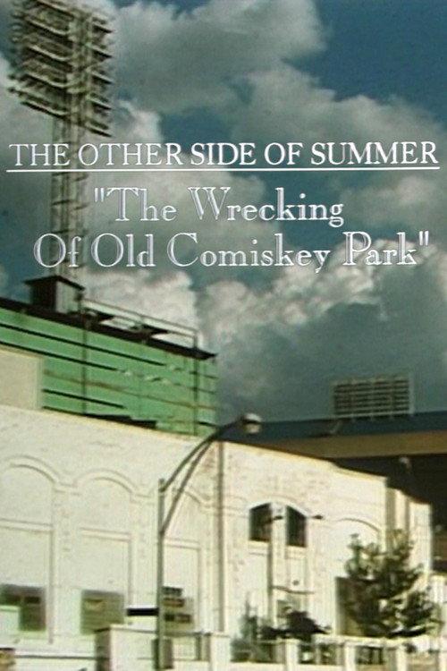 The Wrecking of Old Comiskey Park 1992 official movie poster