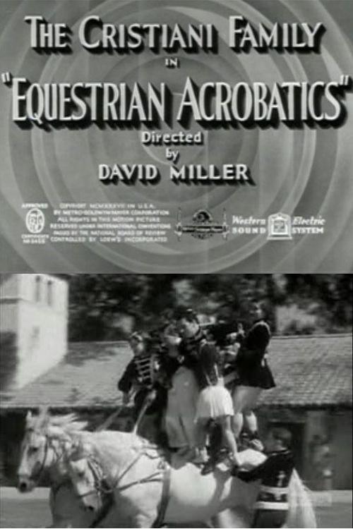 Equestrian Acrobats 1937 official movie poster
