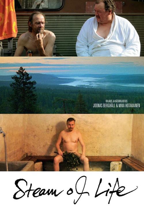 Steam of Life 2010 official movie poster