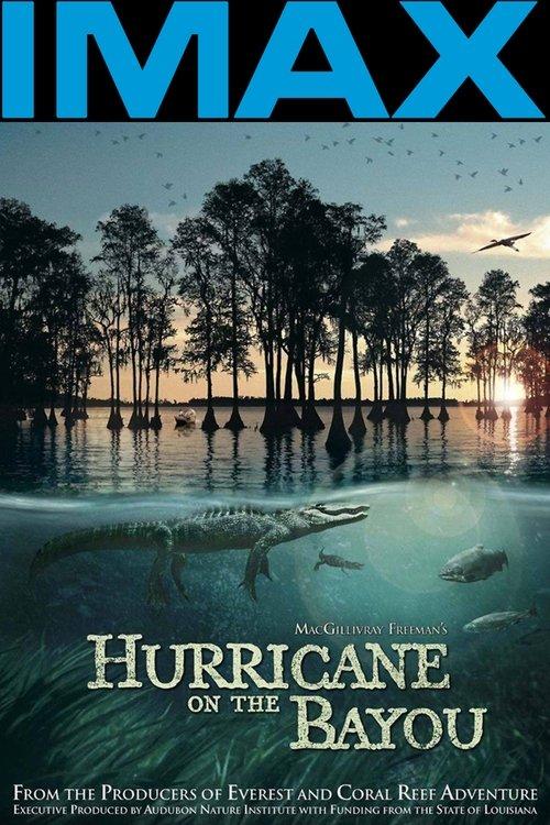 Hurricane on the Bayou 2006 official movie poster