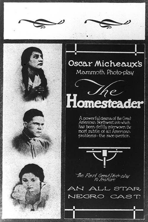 The Homesteader 1919 official movie poster