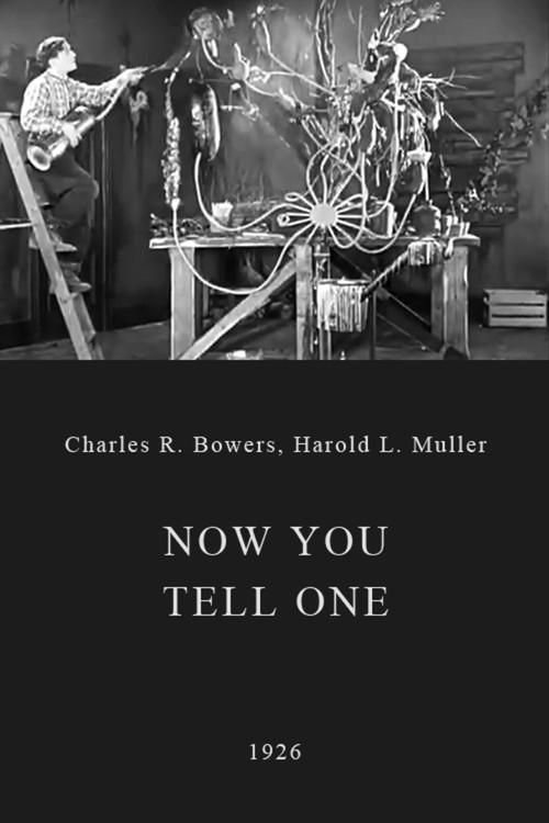 Now You Tell One 1926 official movie poster