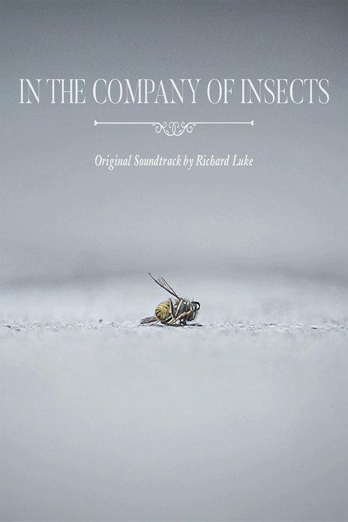 In the Company of Insects 2020 official movie poster