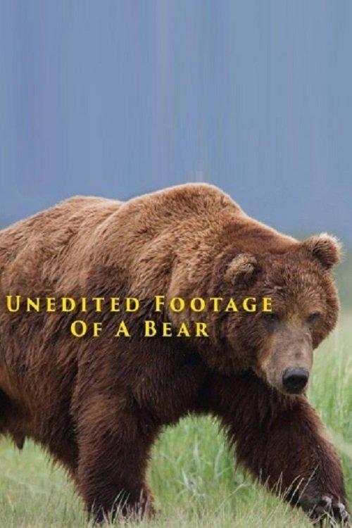 Unedited Footage of a Bear 2014 official movie poster