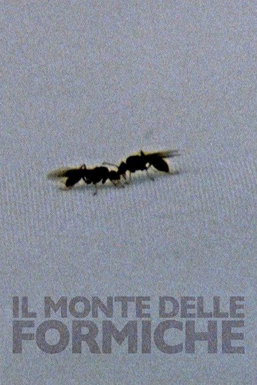 The Mount of Ants 2017 official movie poster