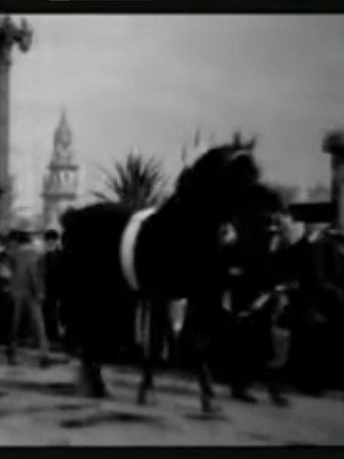 Horse Parade at the Pan-American Exposition 1901 official movie poster