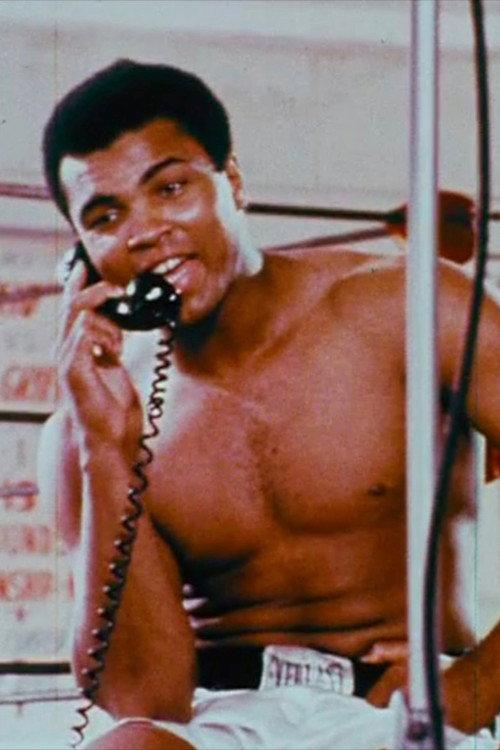 The Fight 1974 official movie poster