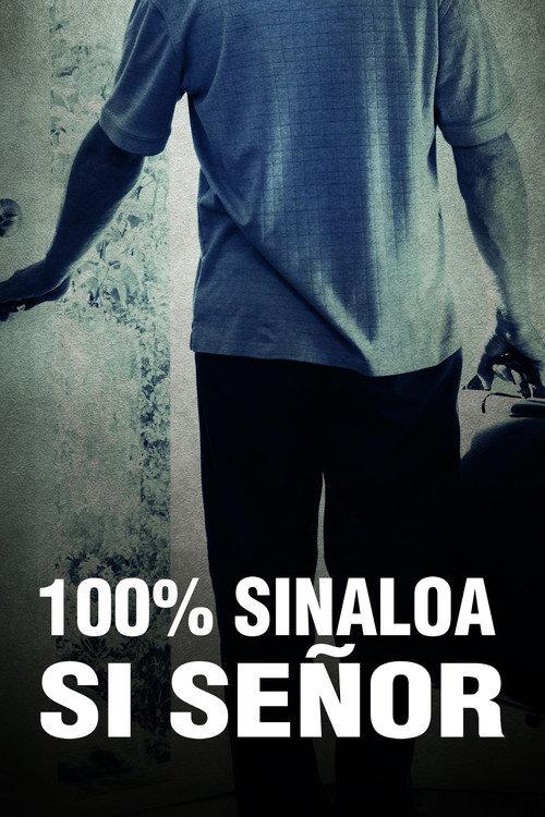 100% Sinaloa, Yes Sir 2013 official movie poster