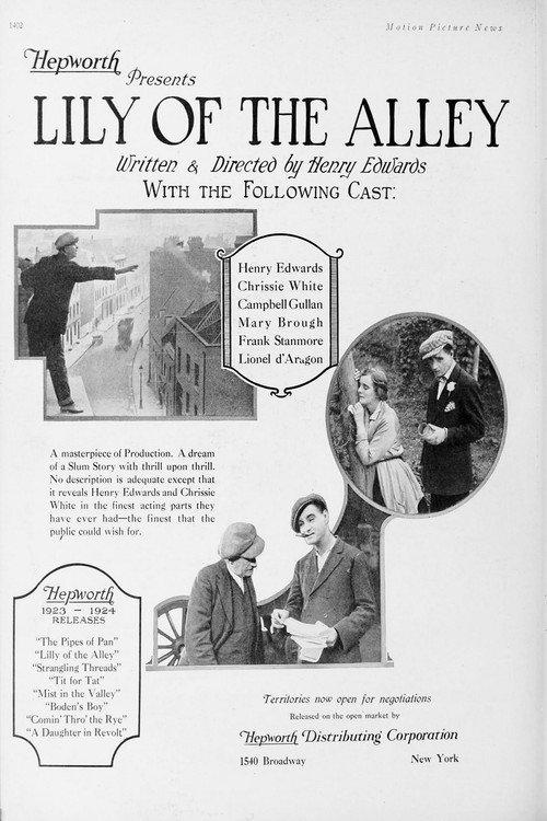 Lily of the Alley 1924 official movie poster