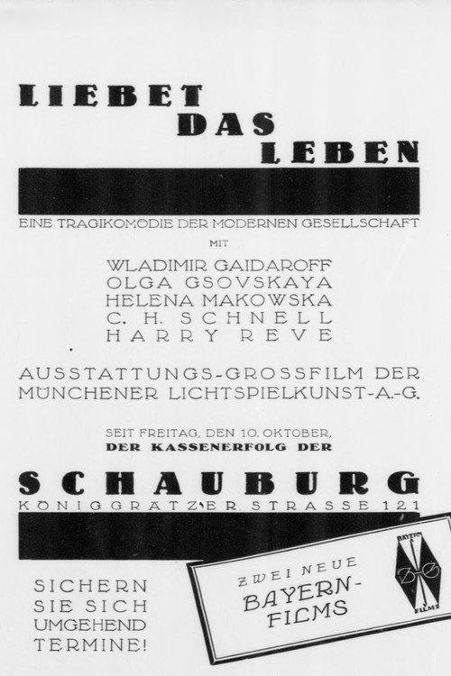 Liebet das Leben 1924 official movie poster