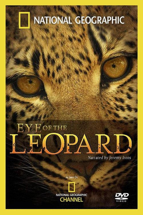 Eye of the Leopard 2006 official movie poster