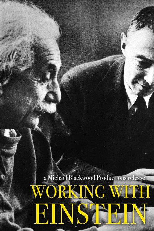 Working with Einstein 1979 official movie poster