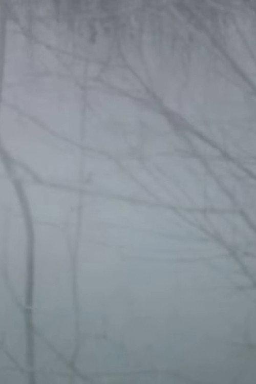 Winter Trees 2015 official movie poster