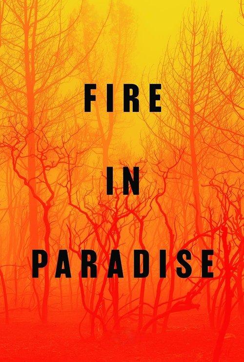 Fire in Paradise 2019 official movie poster