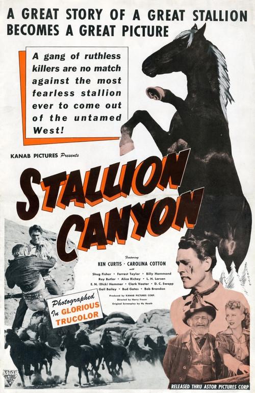 Stallion Canyon 1949 official movie poster