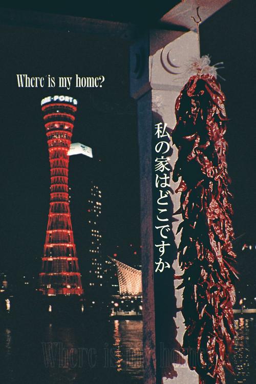 Where Is My Home? 2025 official movie poster
