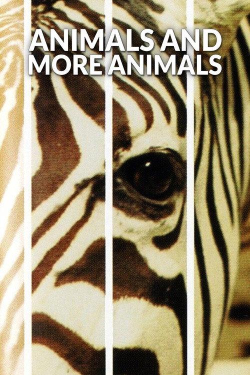 Animals and More Animals 1994 official movie poster