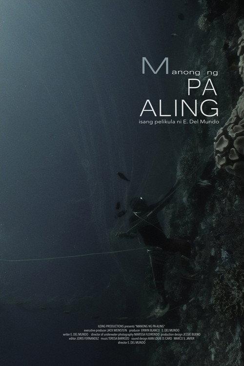Man of Pa-Aling 2017 official movie poster