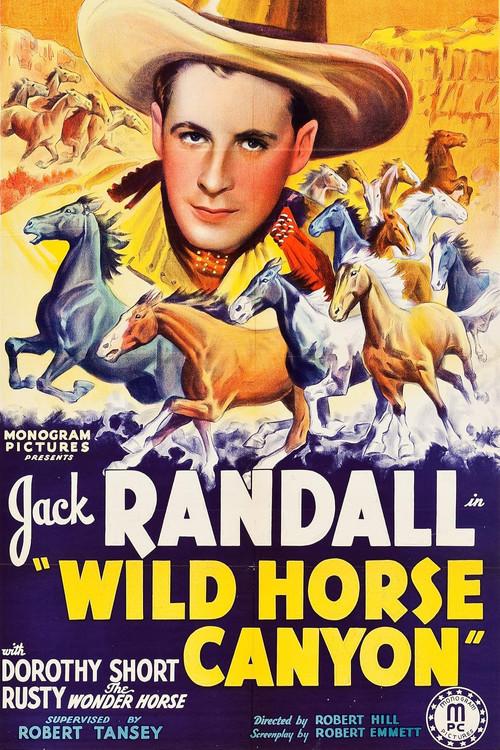 Wild Horse Canyon 1938 official movie poster