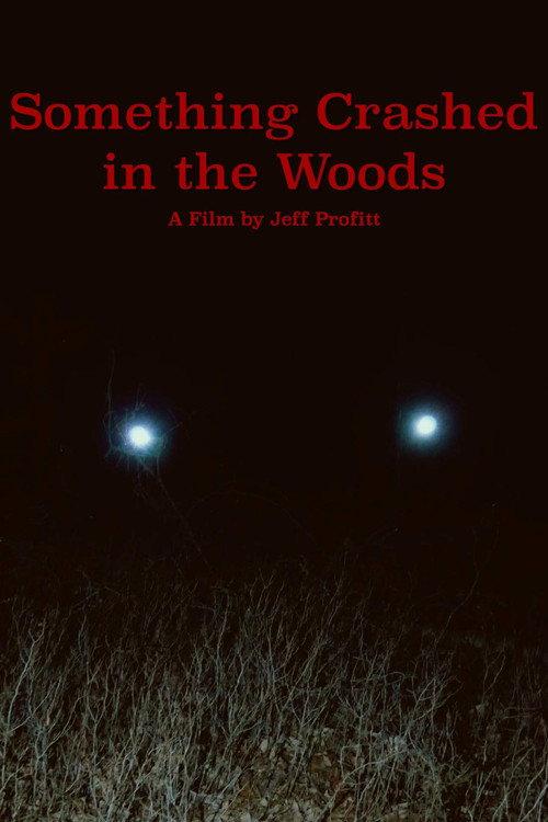 Something Crashed in the Woods 2019 official movie poster
