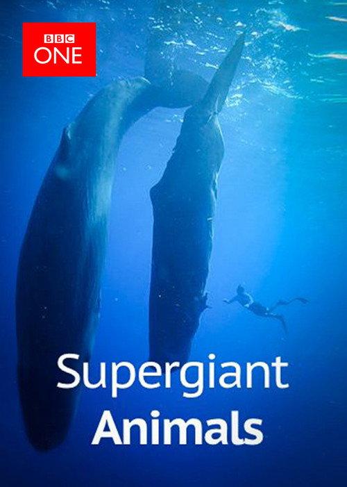 Supergiant Animals 2013 official movie poster