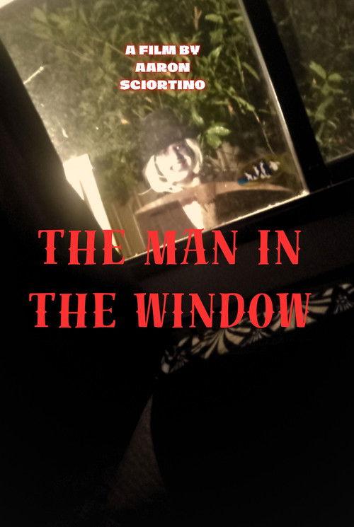 The man in the window 2024 official movie poster