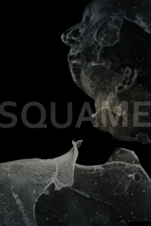 Squame 2015 official movie poster