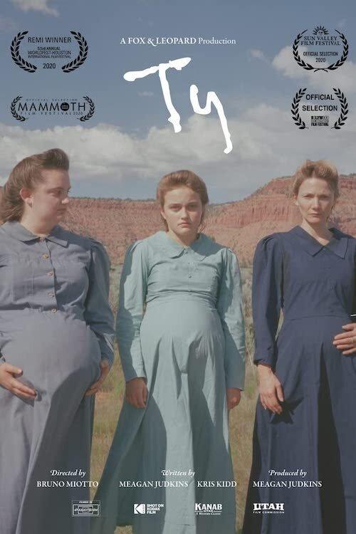 Ty 2020 official movie poster