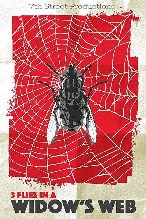 3 Flies in a Widow's Web 2016 official movie poster