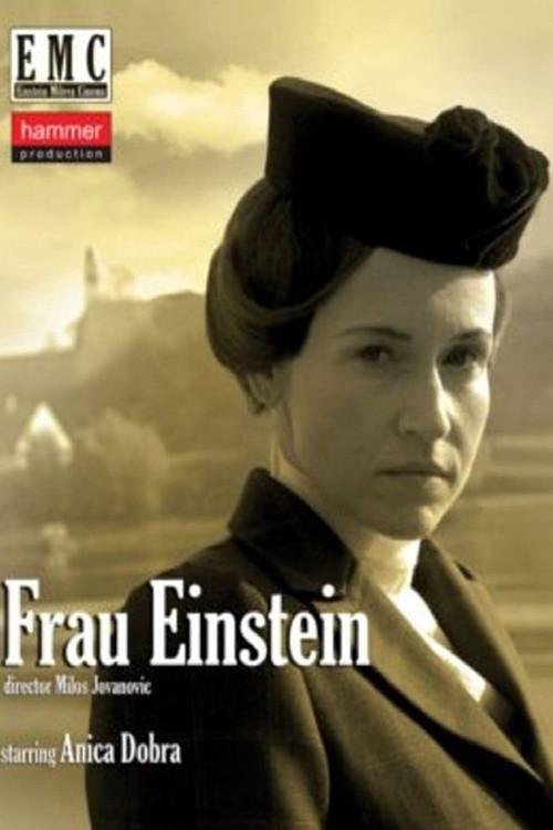 Frau Einstein 2011 official movie poster
