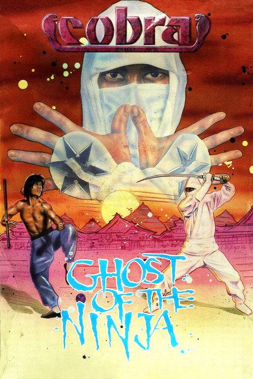 Shadow Ninja 1983 official movie poster