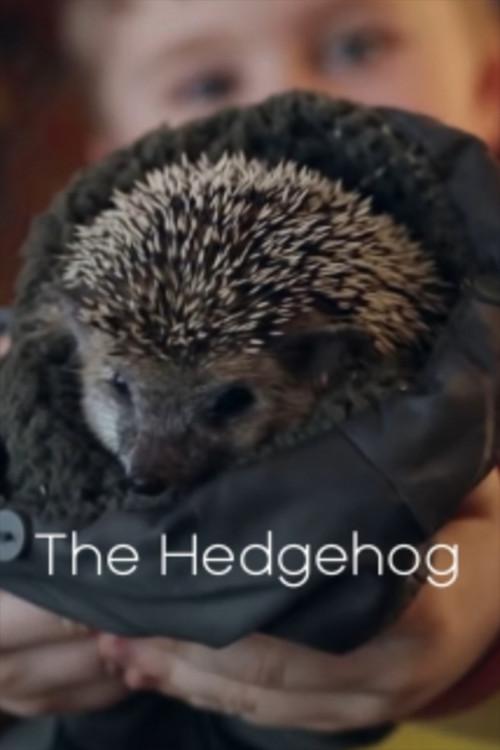 The Hedgehog 2011 official movie poster