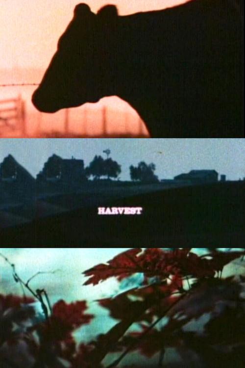 Harvest 1967 official movie poster
