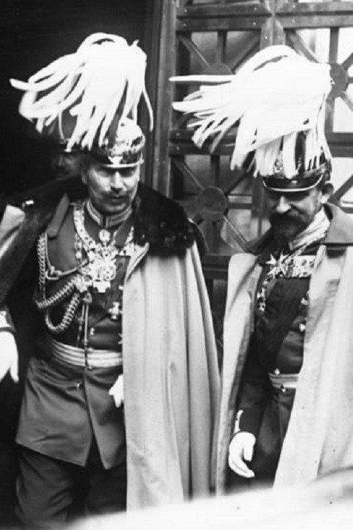 Reception of Wilhelm II 1896 official movie poster