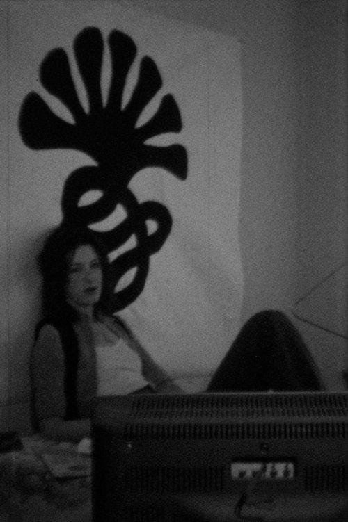 The Secret Life of Patty Hearst 1976 official movie poster