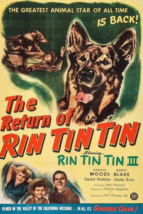 The Return of Rin Tin Tin 1947 official movie poster