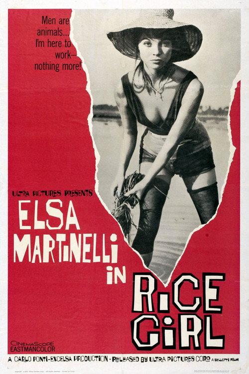 Rice Girl 1956 official movie poster