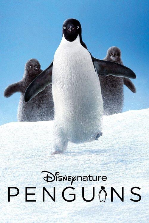 Penguins 2019 official movie poster