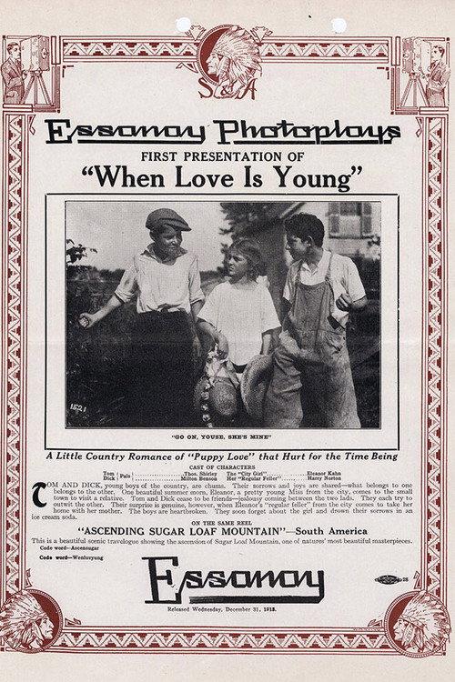 When Love is Young 1913 official movie poster