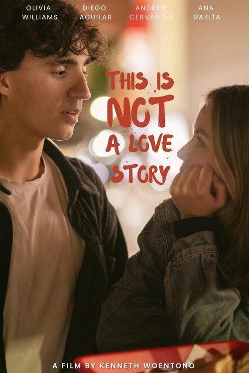 This Is Not a Love Story 2025 official movie poster