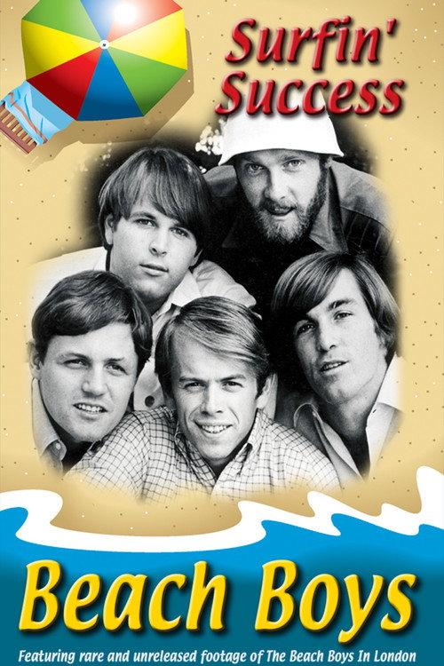 Beach Boys: Surfin' Success 2008 official movie poster
