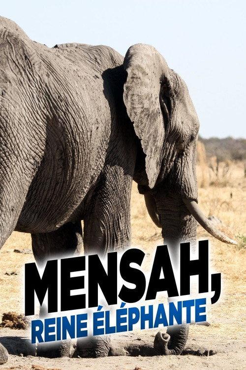 Elephant Queen 2014 official movie poster