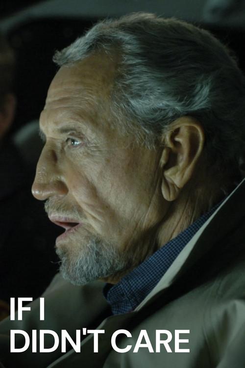 If I Didn't Care 2007 official movie poster