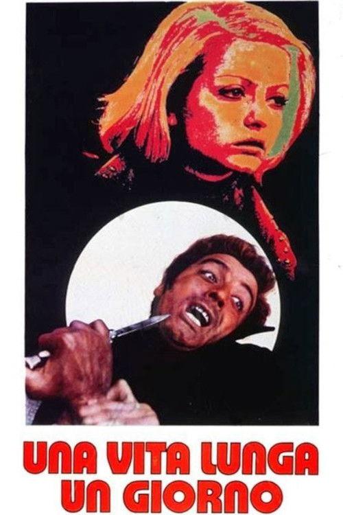 Long Lasting Days 1973 official movie poster