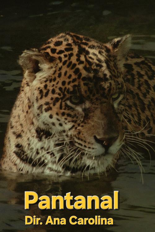 Pantanal 1971 official movie poster