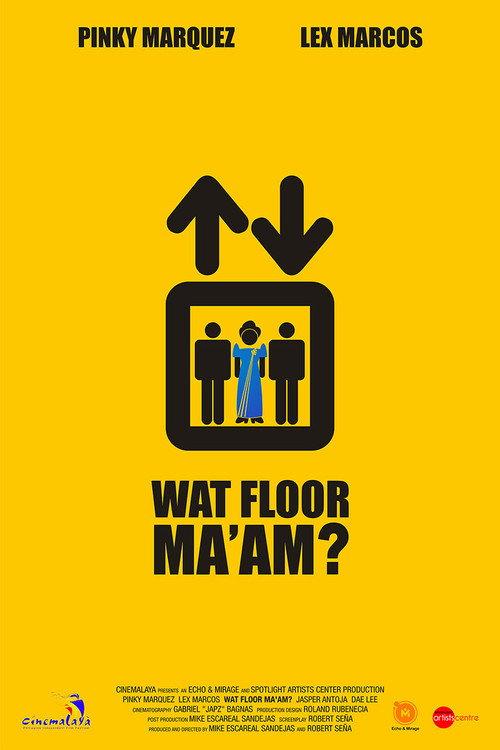 What Floor Ma'am 2009 official movie poster