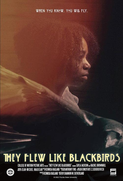 They Flew Like Blackbirds 2022 official movie poster
