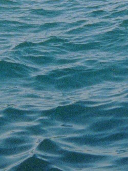 Water Diary 2026 official movie poster