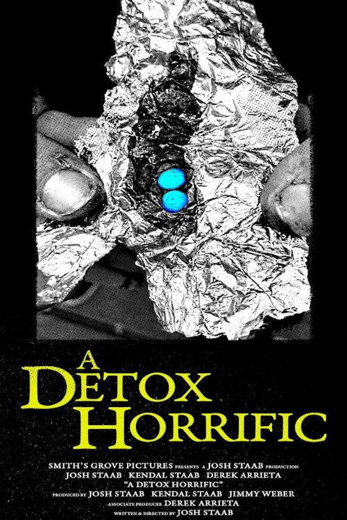 A Detox Horrific 2024 official movie poster
