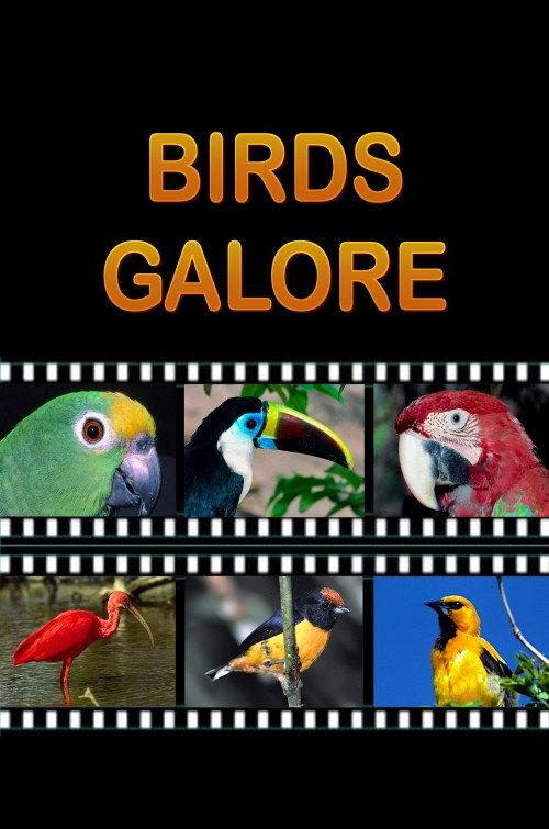Birds Galore 2012 official movie poster